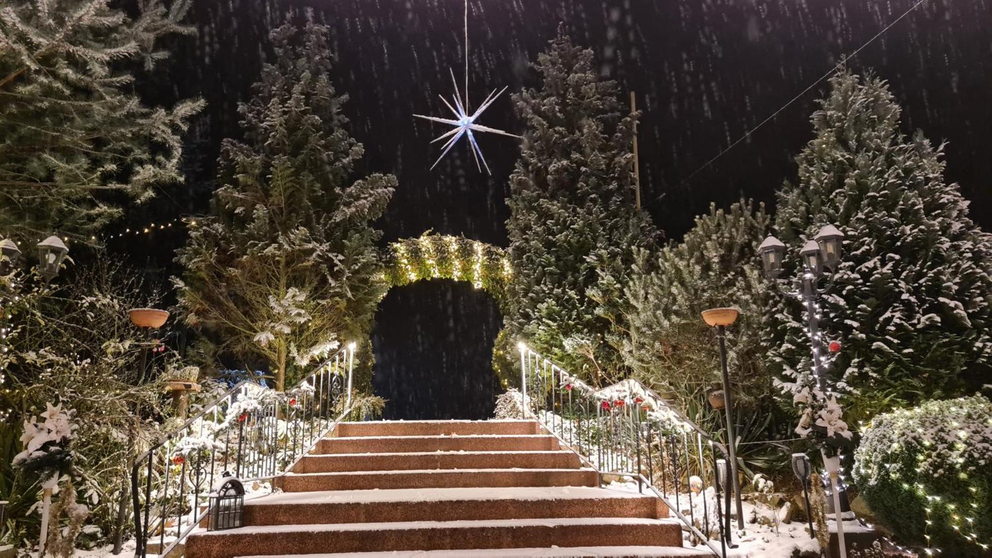 Hotel Am Wald B&B มิเคนดอร์ฟ ภายนอก รูปภาพ